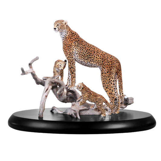 Wildlife