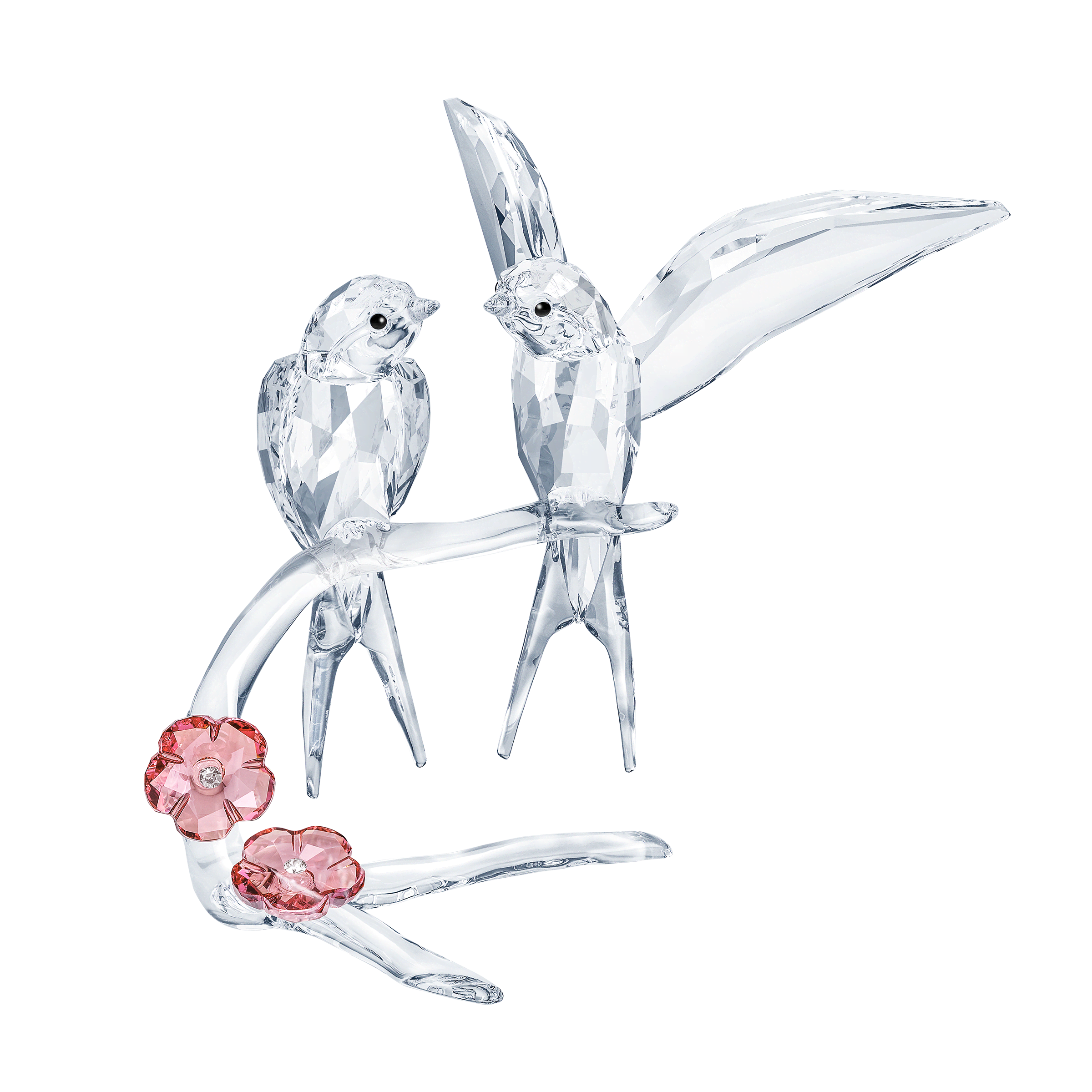 5475566_png.png?v=1779911785