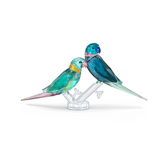 Jungle Beats Parakeet Couple Fife & Fifer 5577124