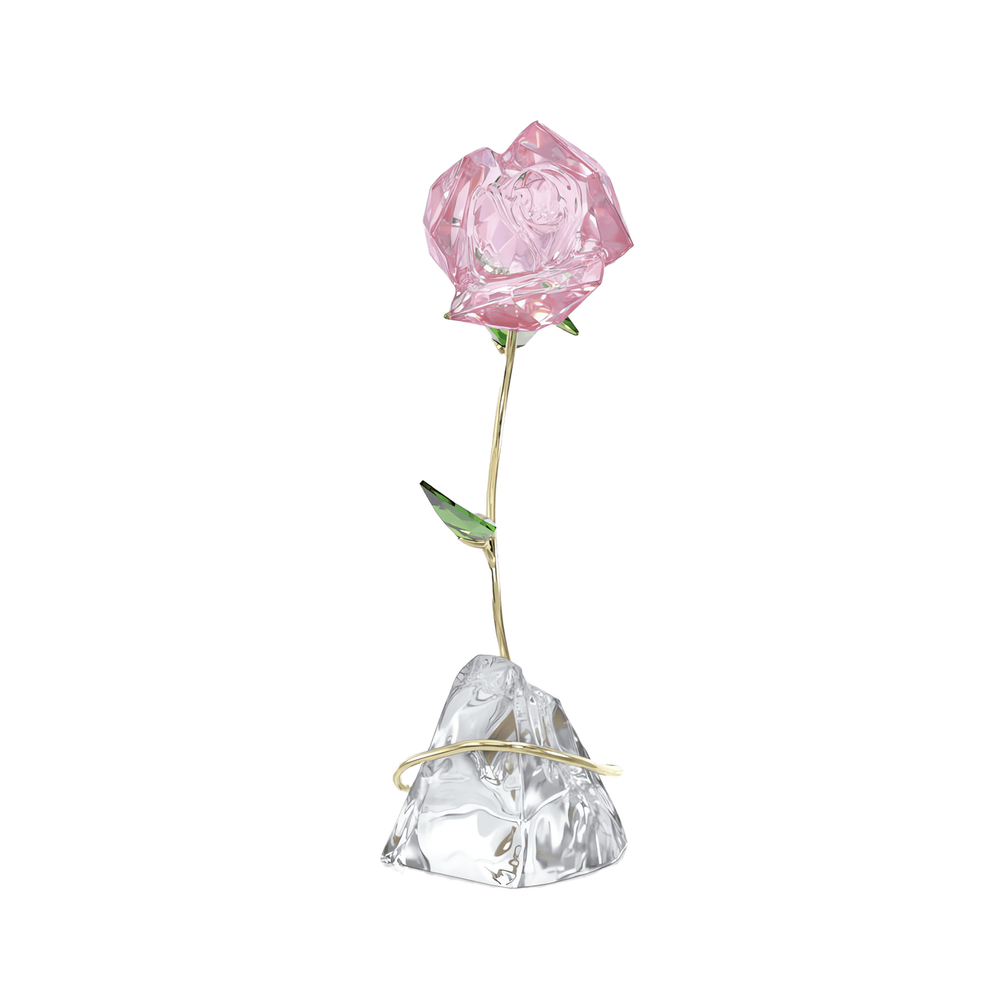 Florere Rose 5666973