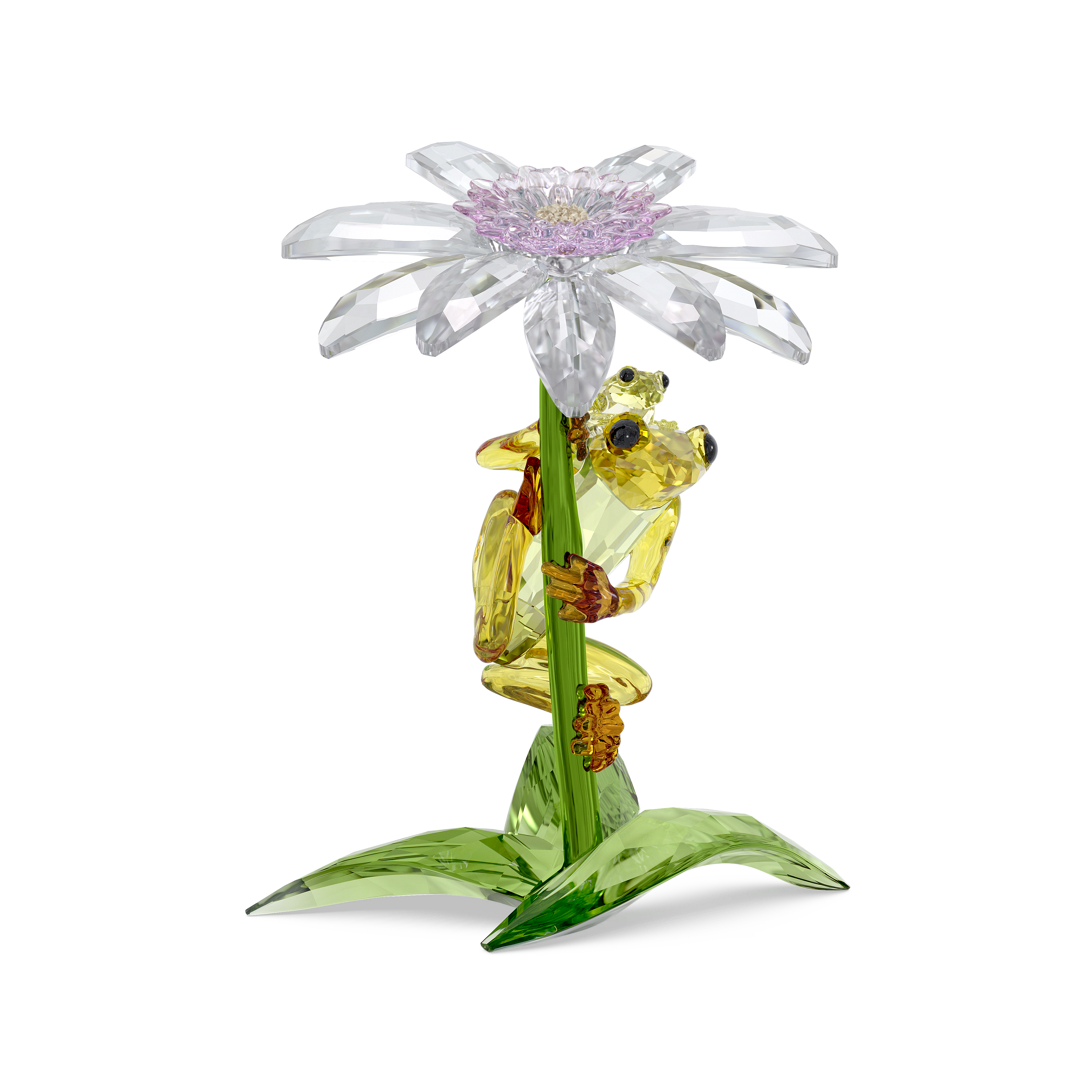 Swarovski Idyllia Frogs and Flower 5670892 – Ralphs Jewelry
