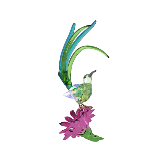 Idyllia Sugarbird and Cactus Flower 5675166