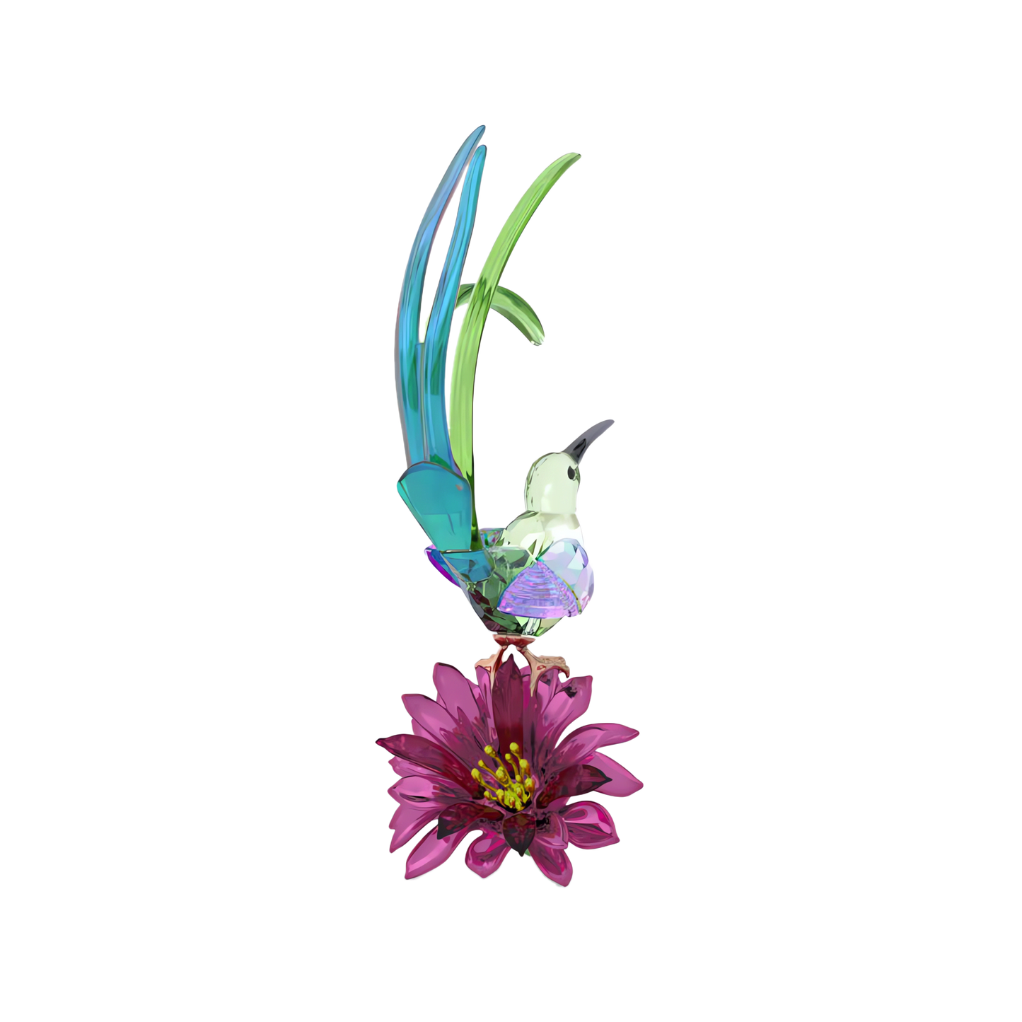 Idyllia Sugarbird and Cactus Flower 5675166