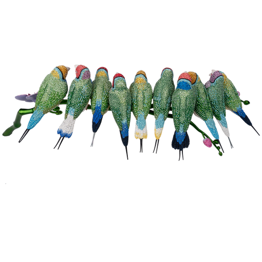 Crystal Myriad Gouldian Finches 5677659