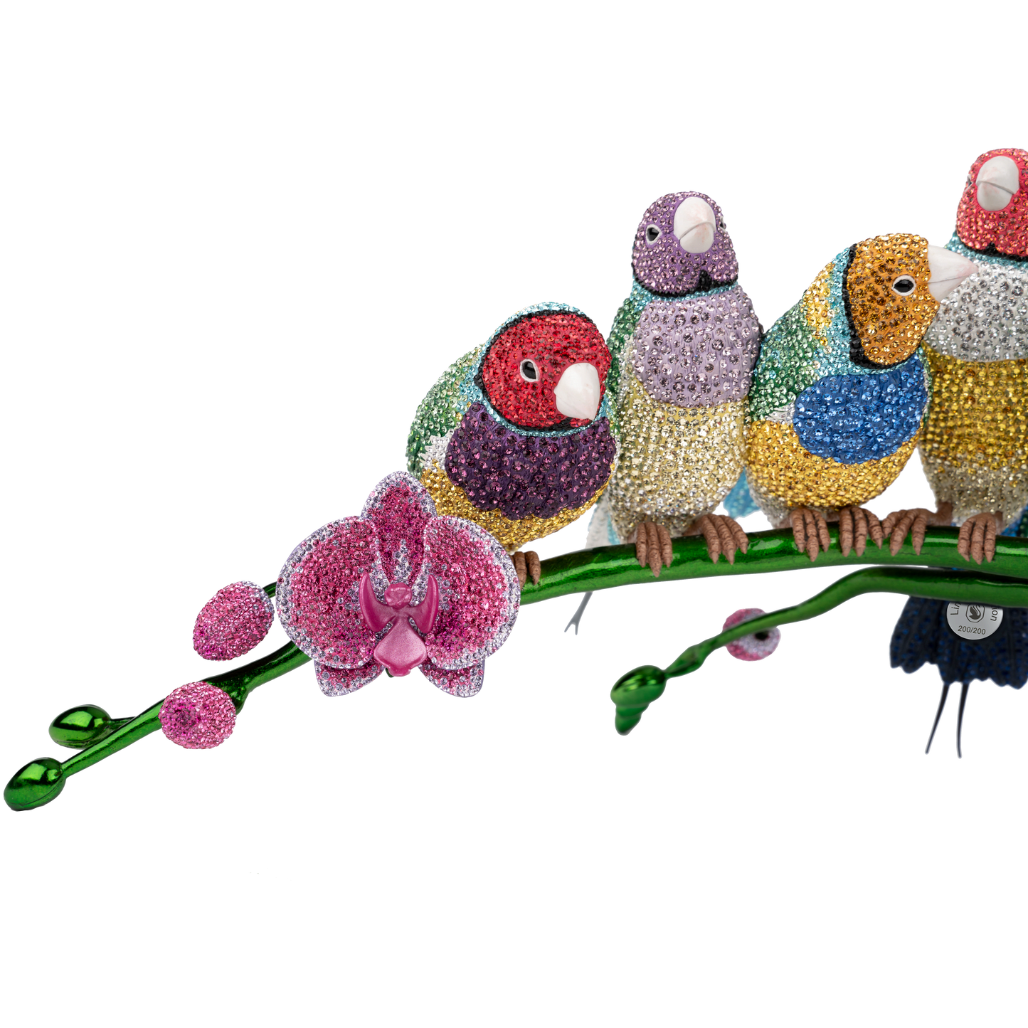 Crystal Myriad Gouldian Finches 5677659