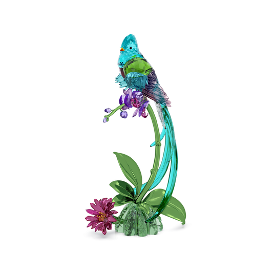 Idyllia Quetzal and Orchid 5682123