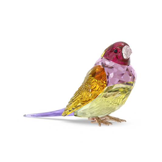 Swarovski Idyllia SCS Gouldian Finch, Large