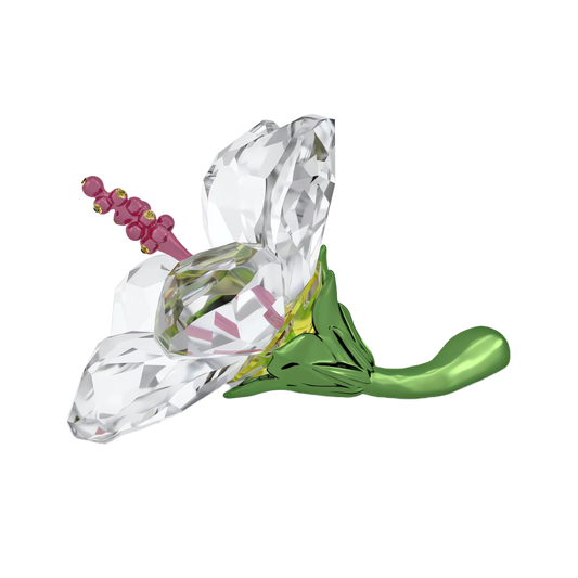 Florere Hibiscus, Small 5690534