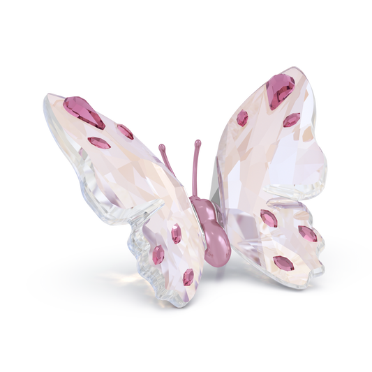 Idyllia Butterfly, Small 5691959