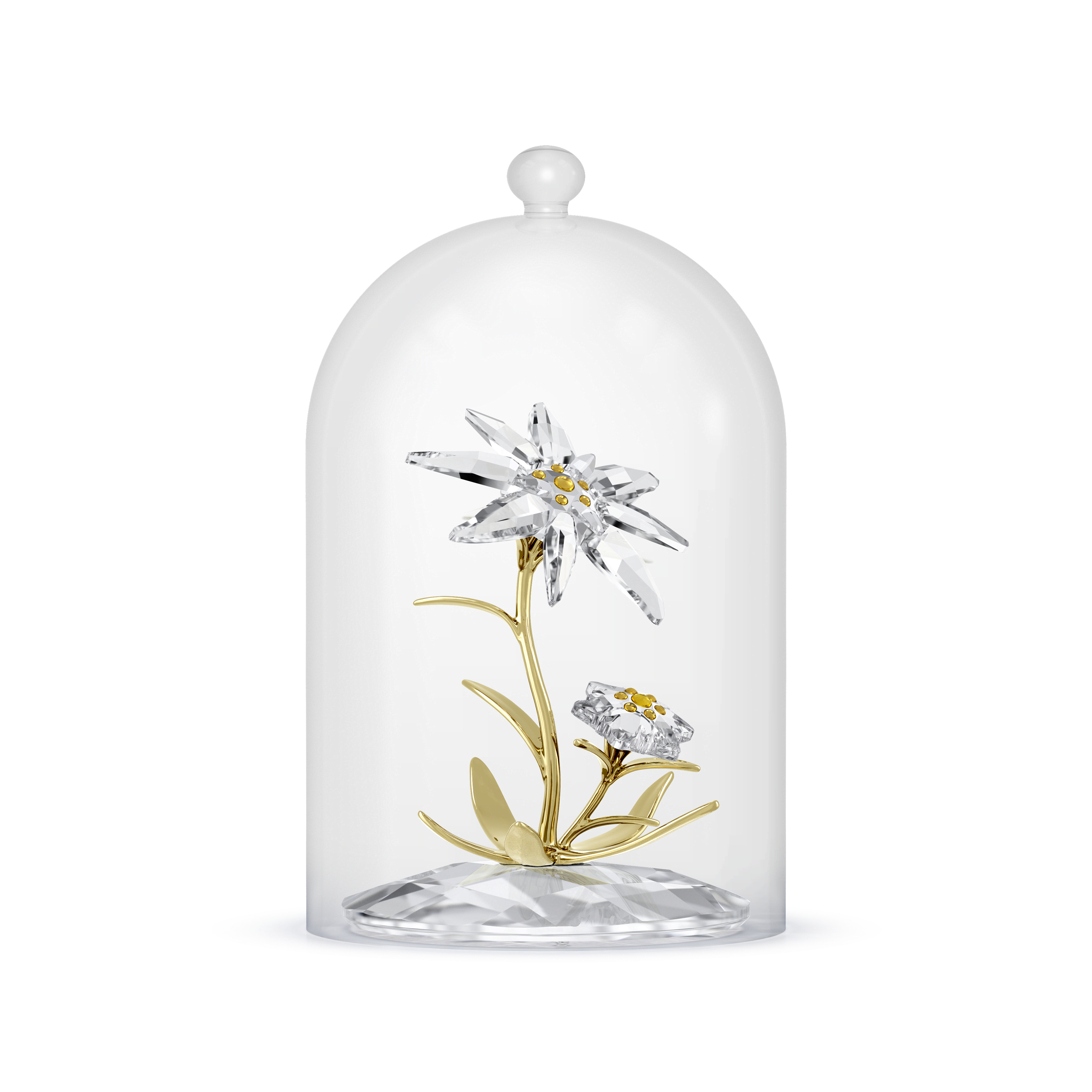 Swarovski Florere 130th Anniversary Bell Jar 5701376 – Ralphs Jewelry