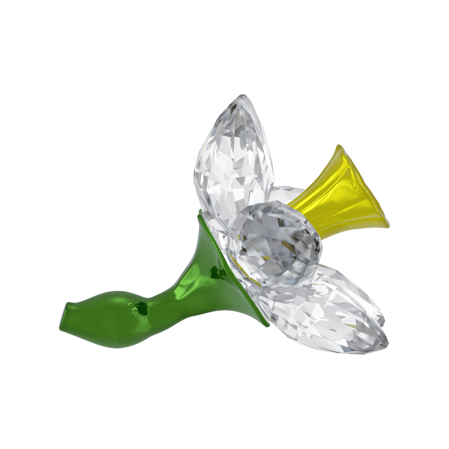 Florere Daffodil 5721540
