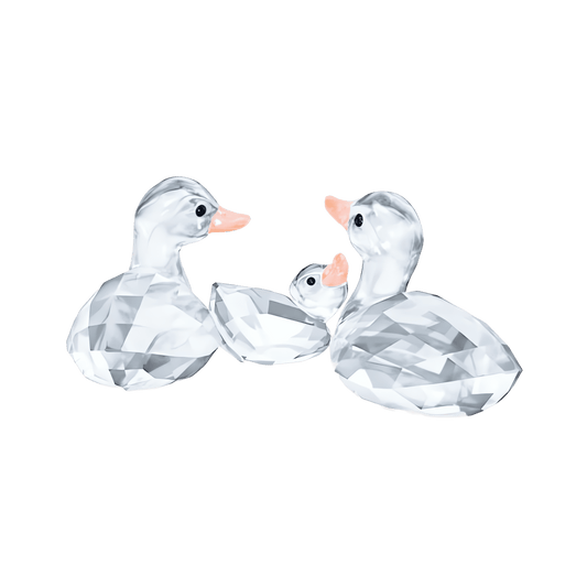 Ducks 5723846