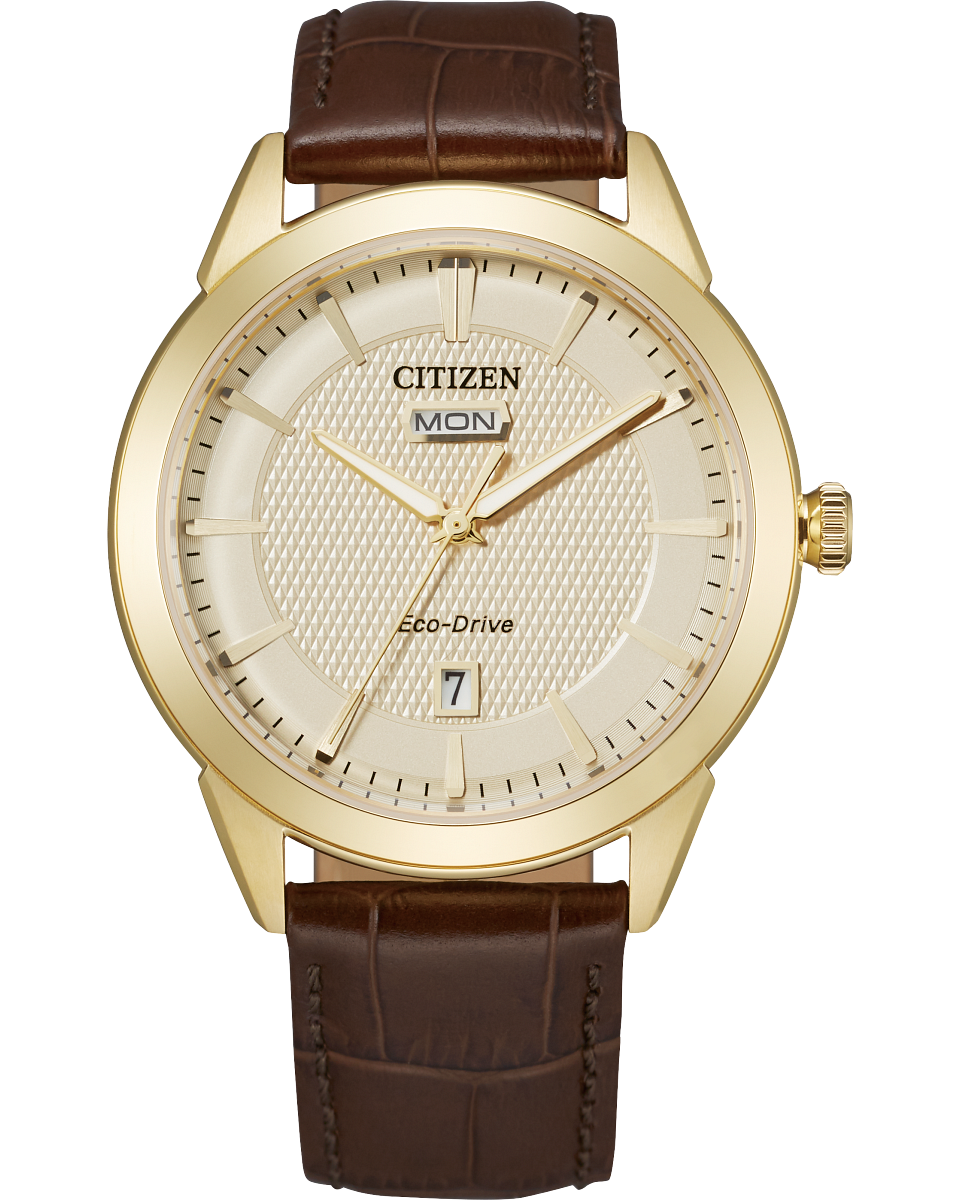 Citizen Eco-Drive watch 40mm gold tone stainless steel case, champagne colored dial with day date tracker leather band