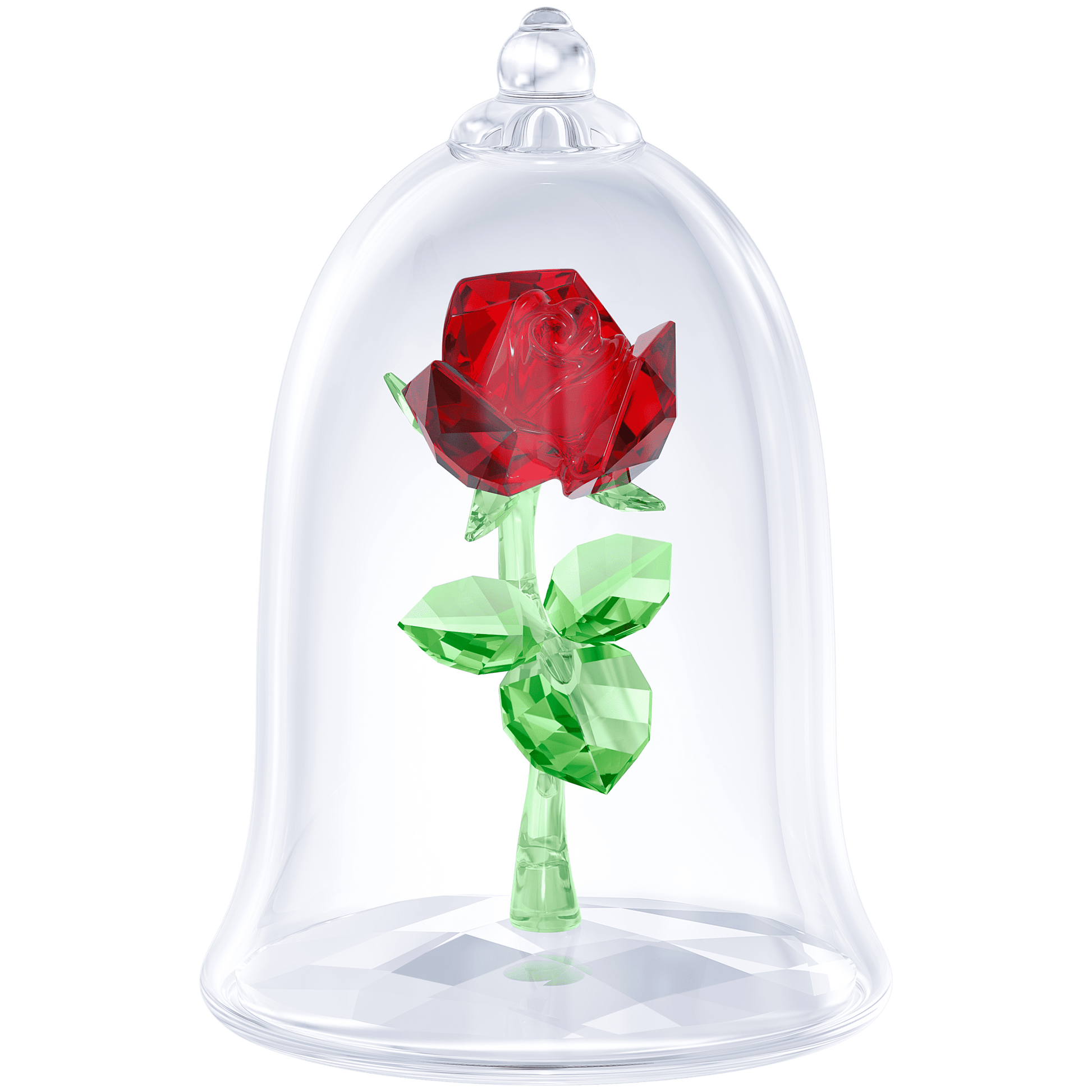 Enchanted Rose 5230478