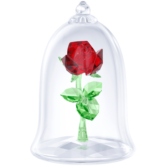 Enchanted Rose 5230478