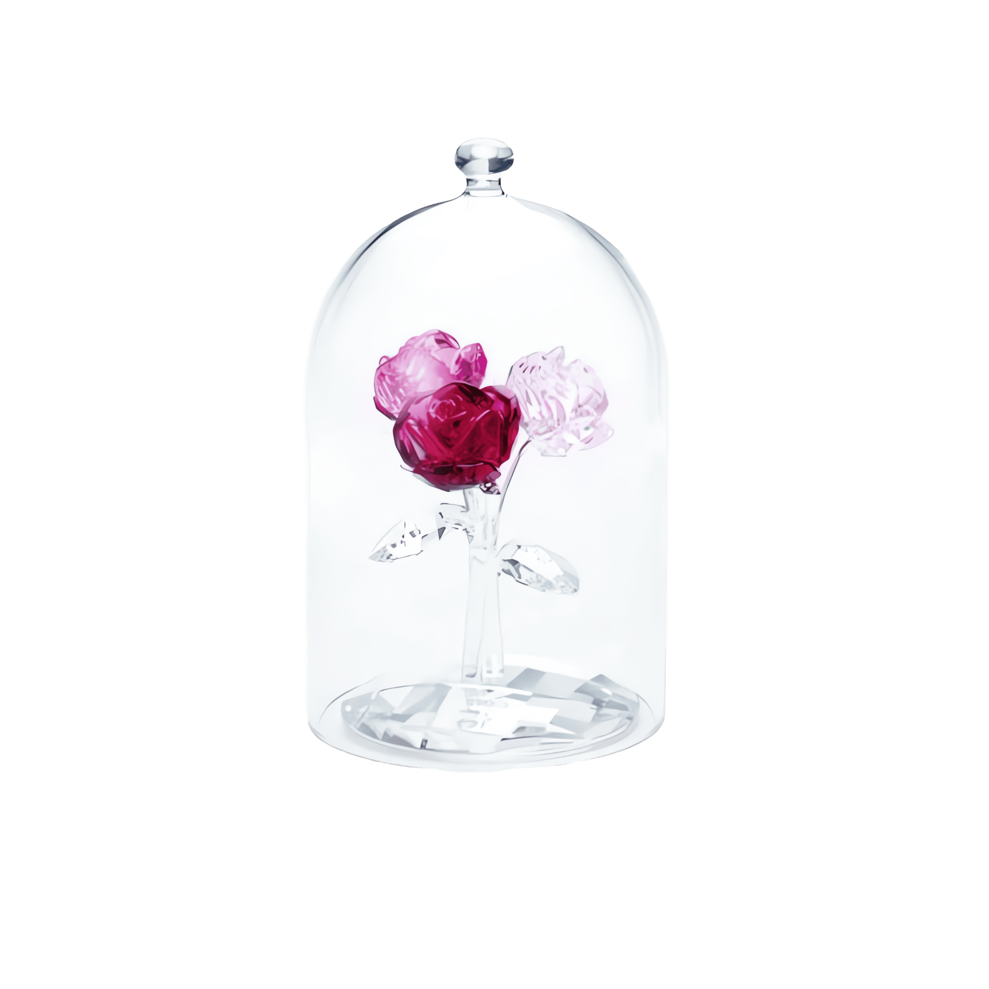 Rose Bouquet 5493707