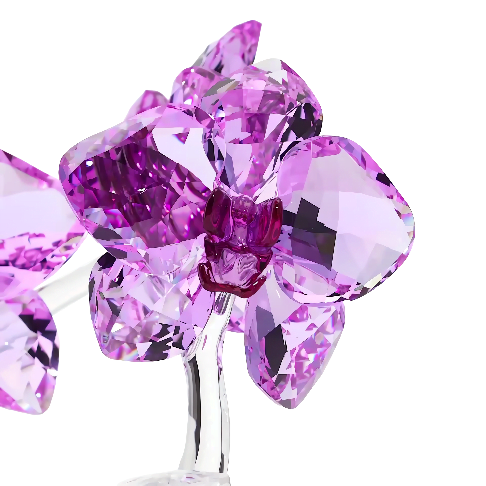 Crystal Flowers Orchid 5520373