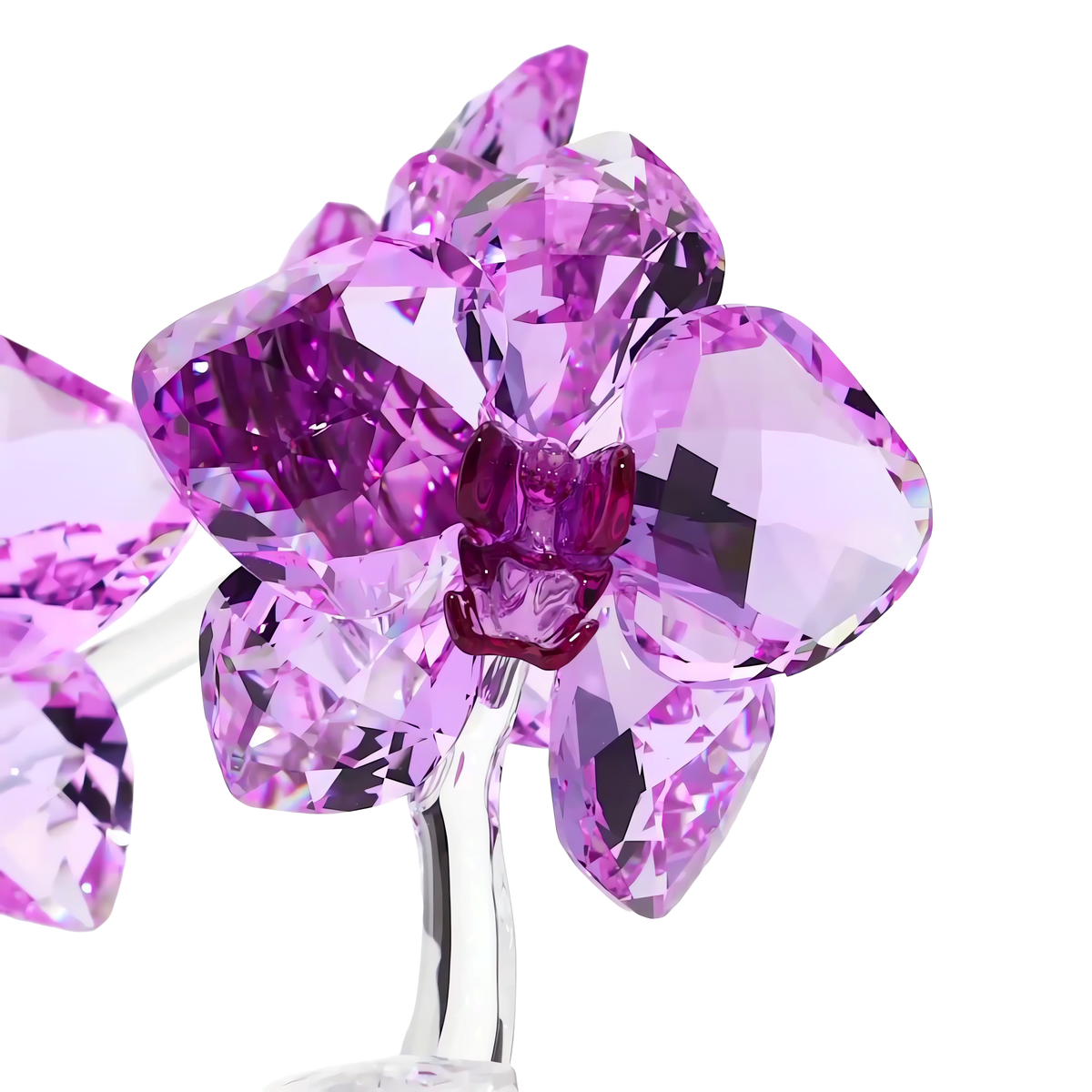 Crystal Flowers Orchid
