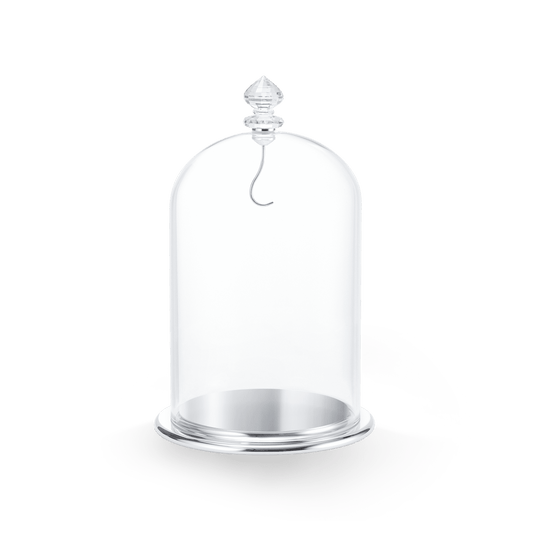 Bell Jar Display, large 5527606