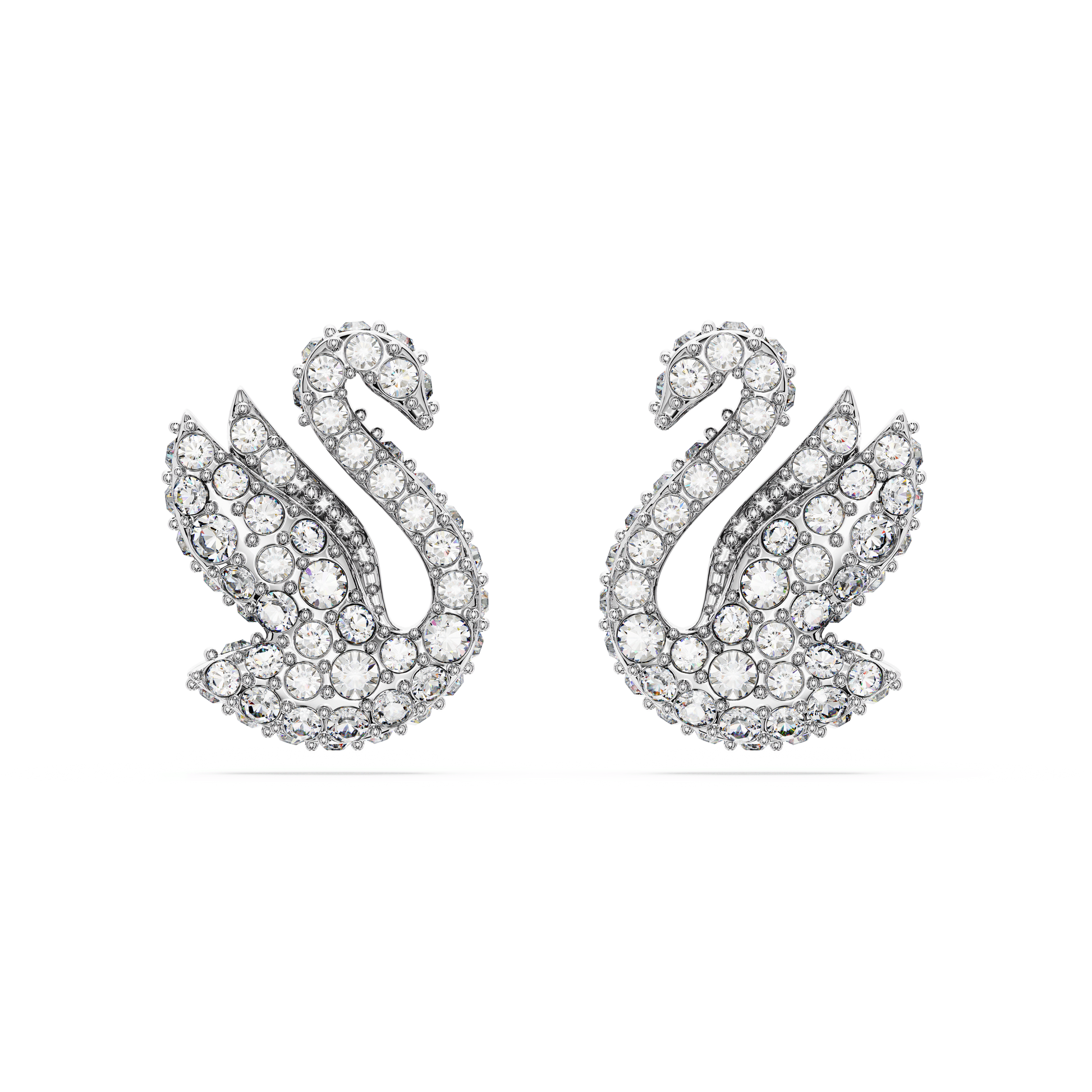 Swan stud earrings, Swan, White, Rhodium plated 5647873