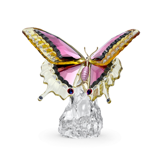 Idyllia Butterfly 5650796