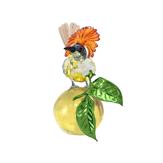 Idyllia Royal Flycatcher 5651811