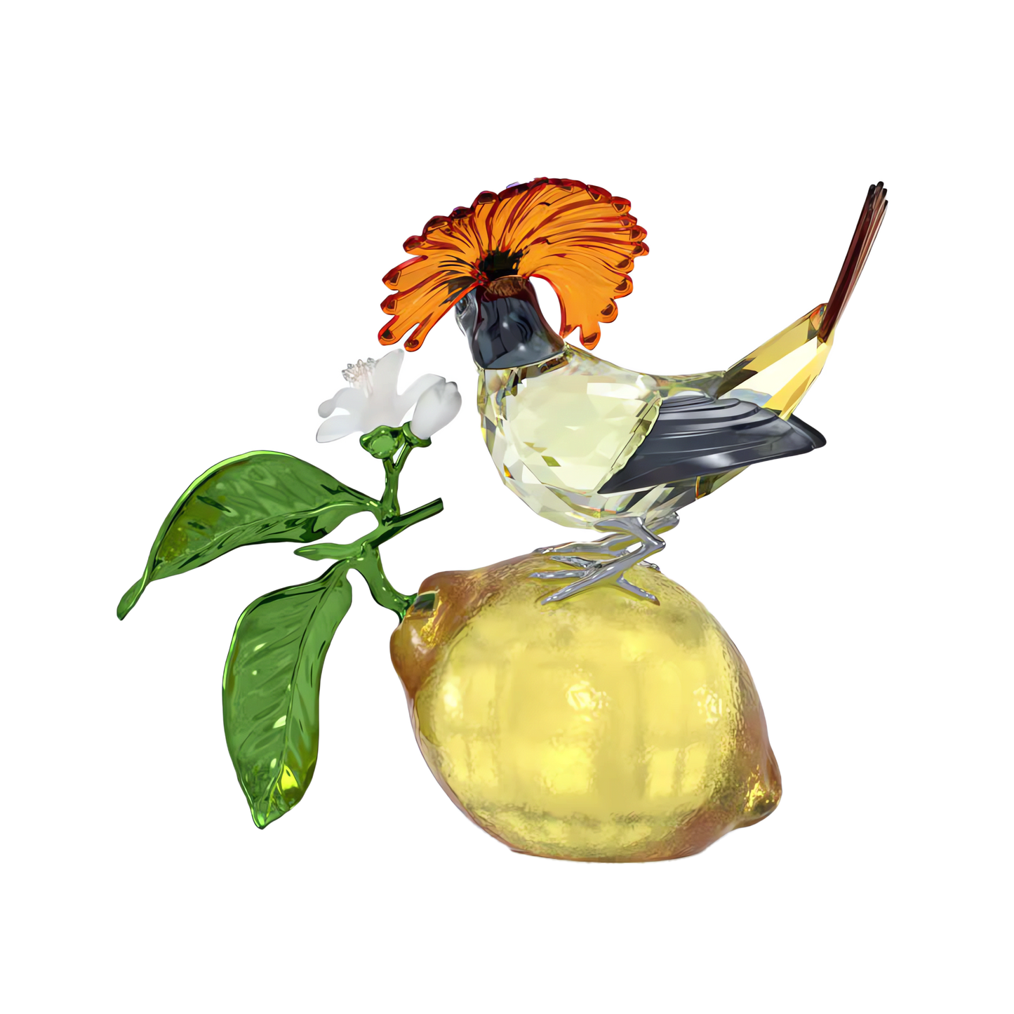 Idyllia Royal Flycatcher 5651811