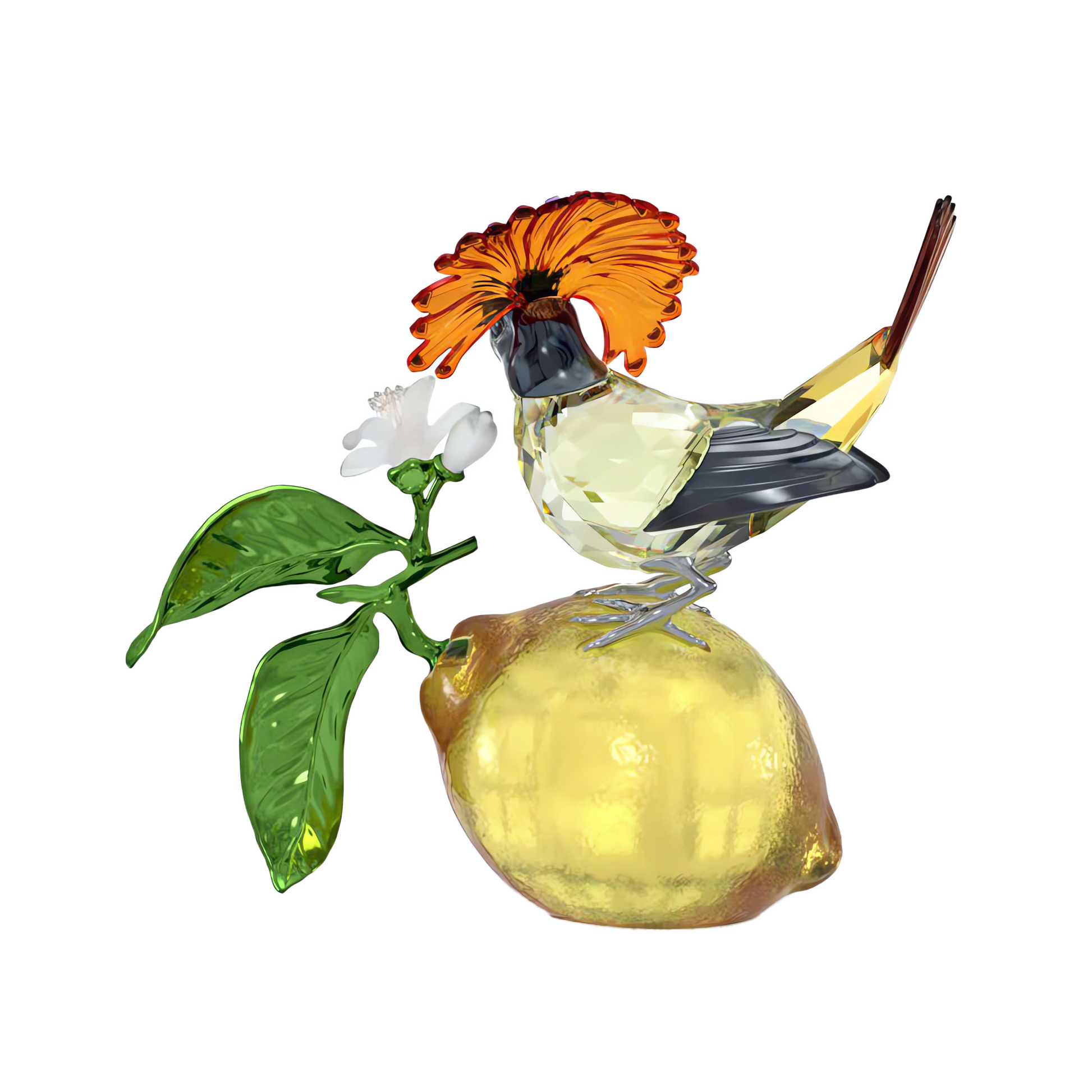 Idyllia Royal Flycatcher 5651811