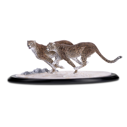 Crystal Myriad Asuga 5652115