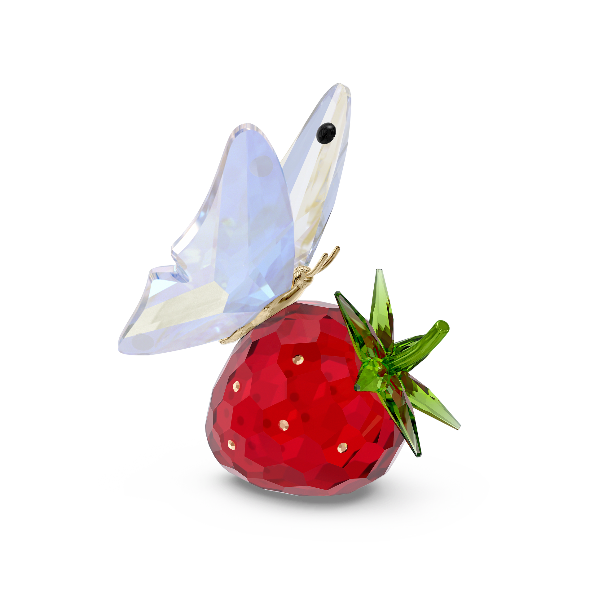 Idyllia Butterfly and Strawberry 5666846