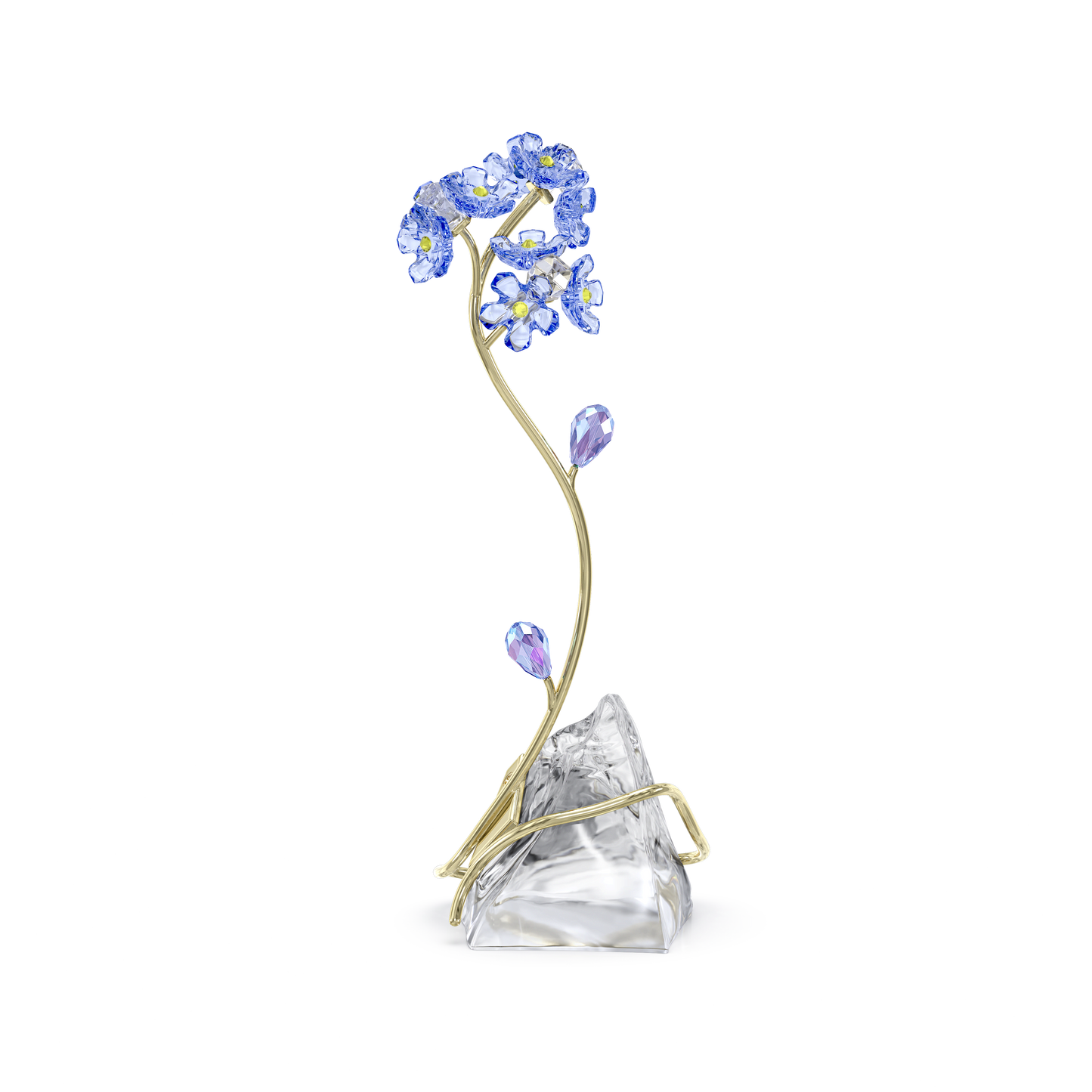Florere Forget-me-not 5666971