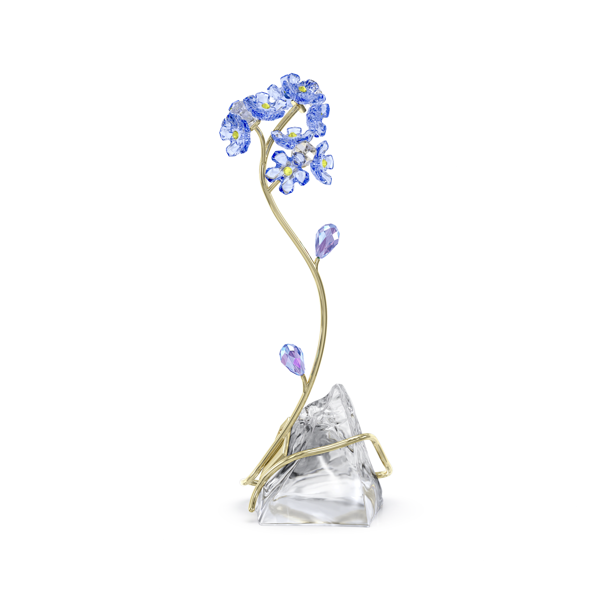 Florere Forget-me-not 5666971