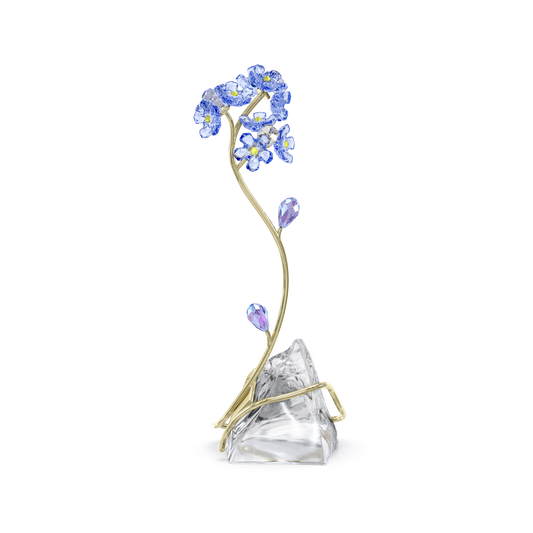 Florere Forget-me-not 5666971