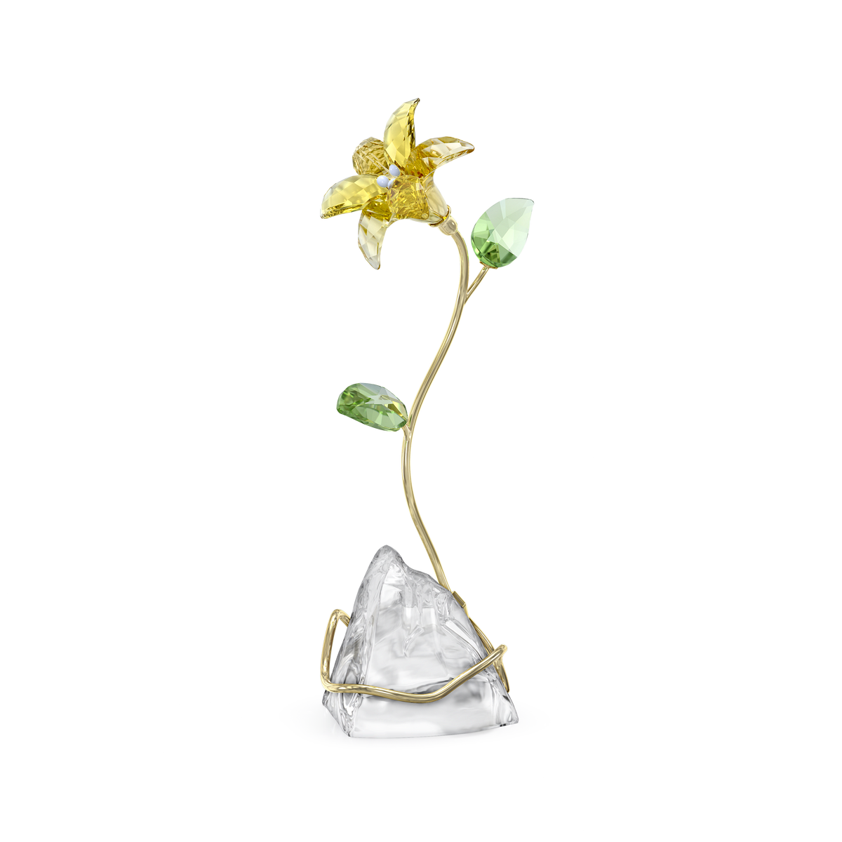 Florere Lily