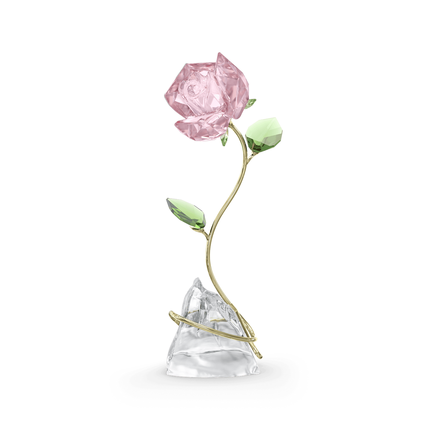 Florere Rose 5666973
