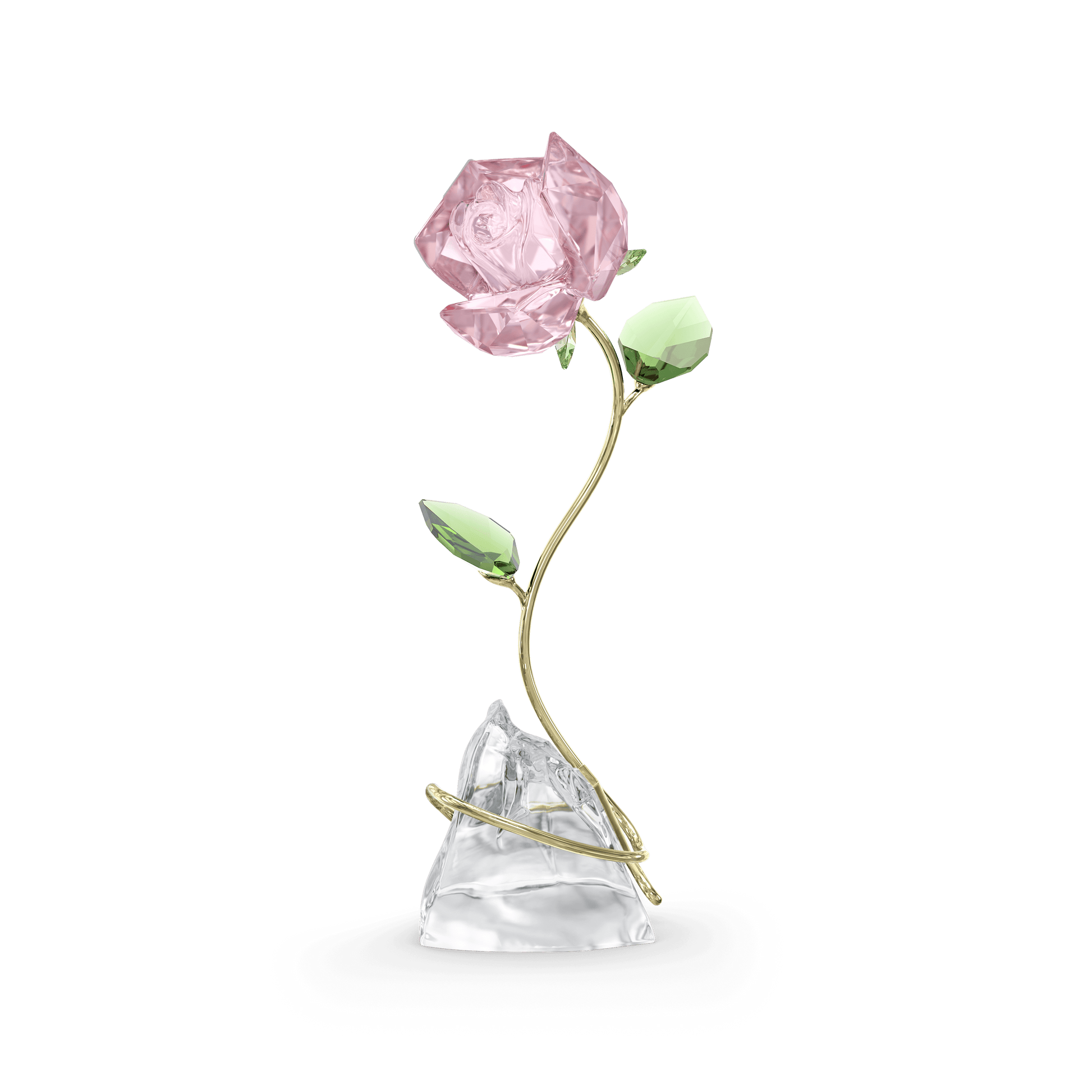 Florere Rose 5666973