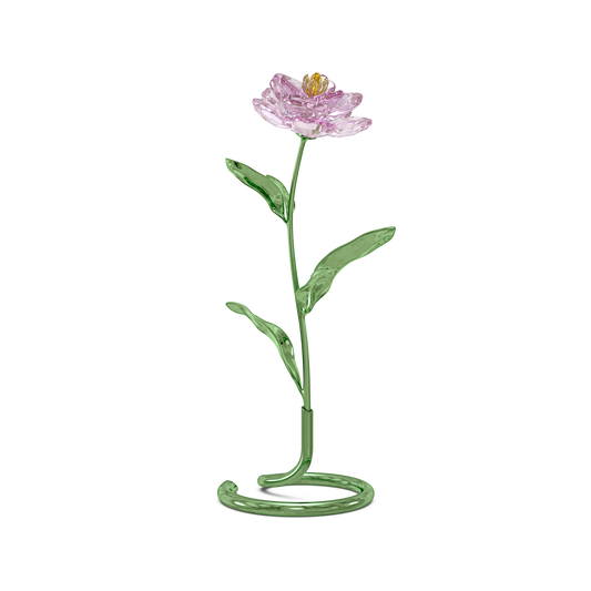 Swarovski Florere Peony