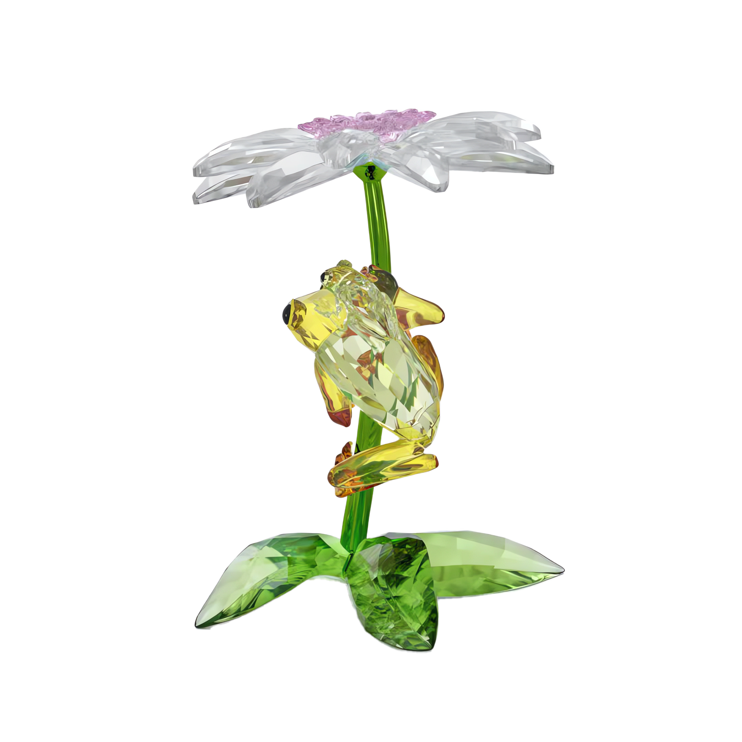 Idyllia Frogs and Flower 5670892