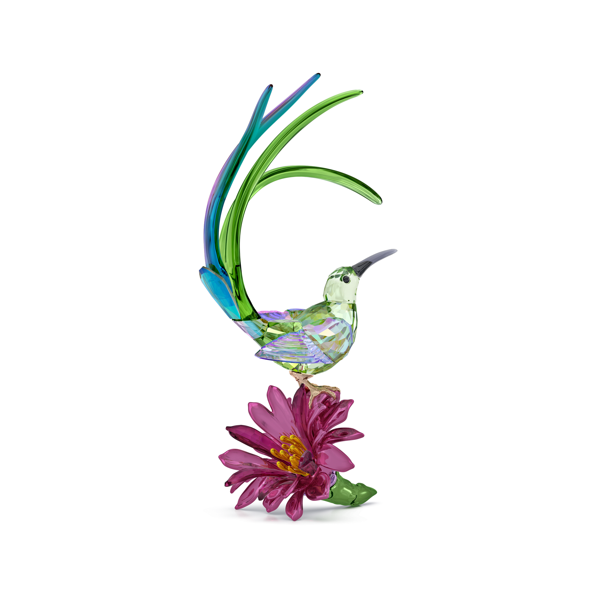 Idyllia Sugarbird and Cactus Flower 5675166