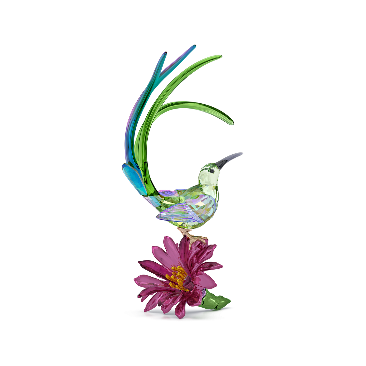 Idyllia Sugarbird and Cactus Flower