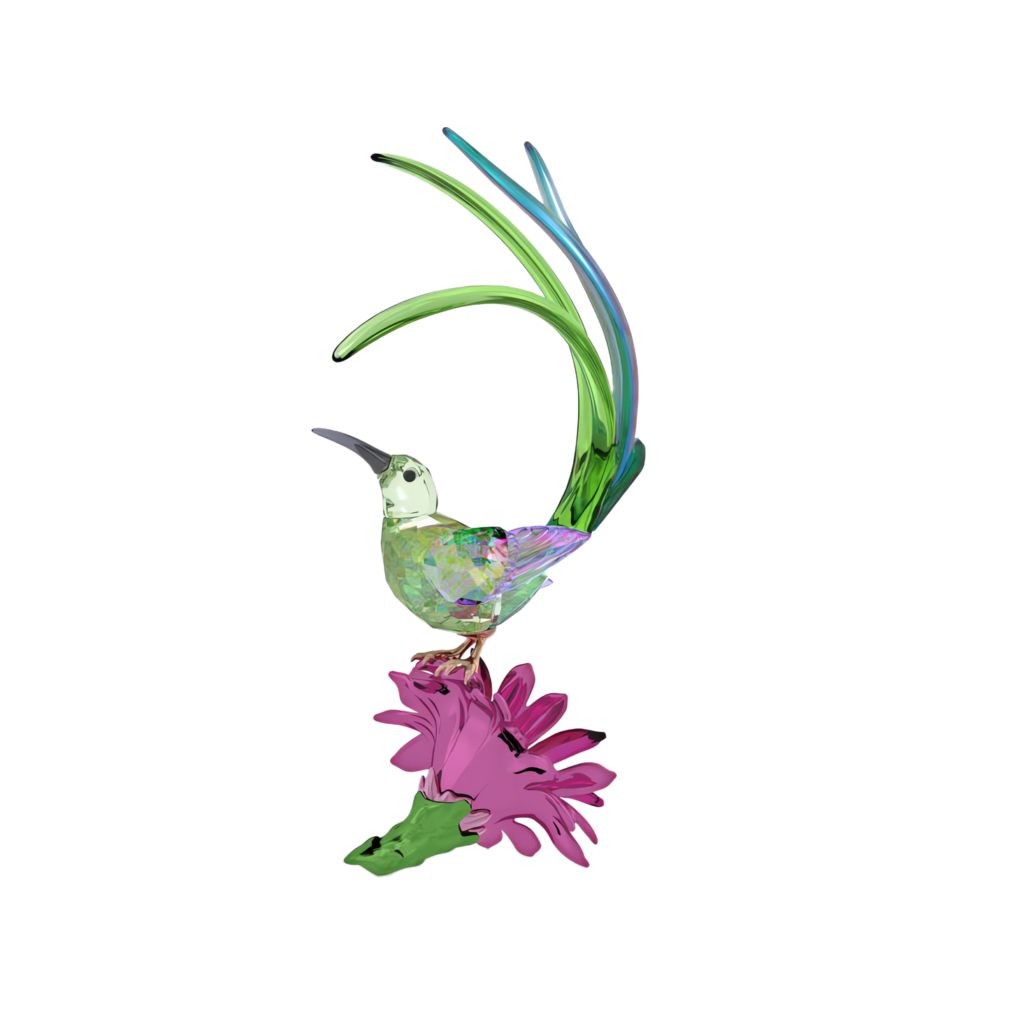 Idyllia Sugarbird and Cactus Flower 5675166