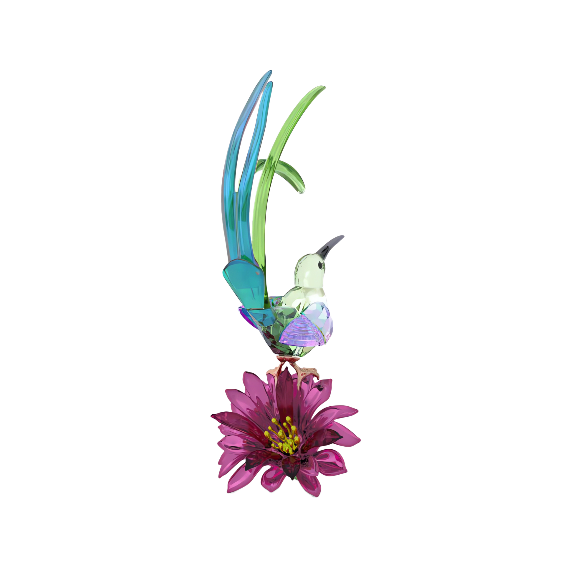 Idyllia Sugarbird and Cactus Flower 5675166