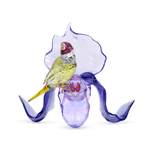 Idyllia Gouldian Finch and Orchid 5675211