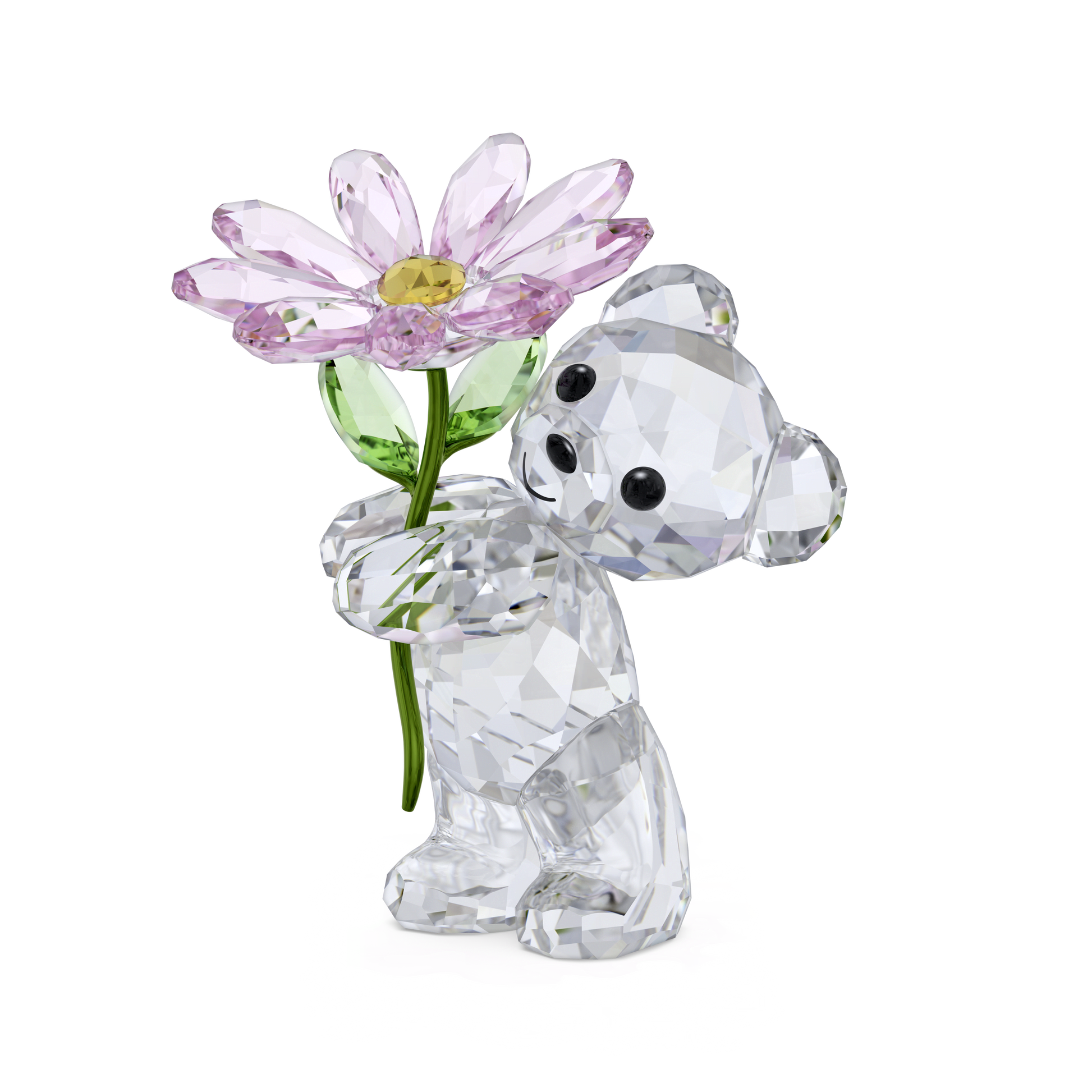 Kris Bear A Daisy for You 5675327