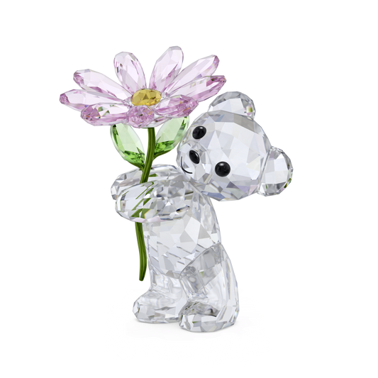 Kris Bear A Daisy for You 5675327