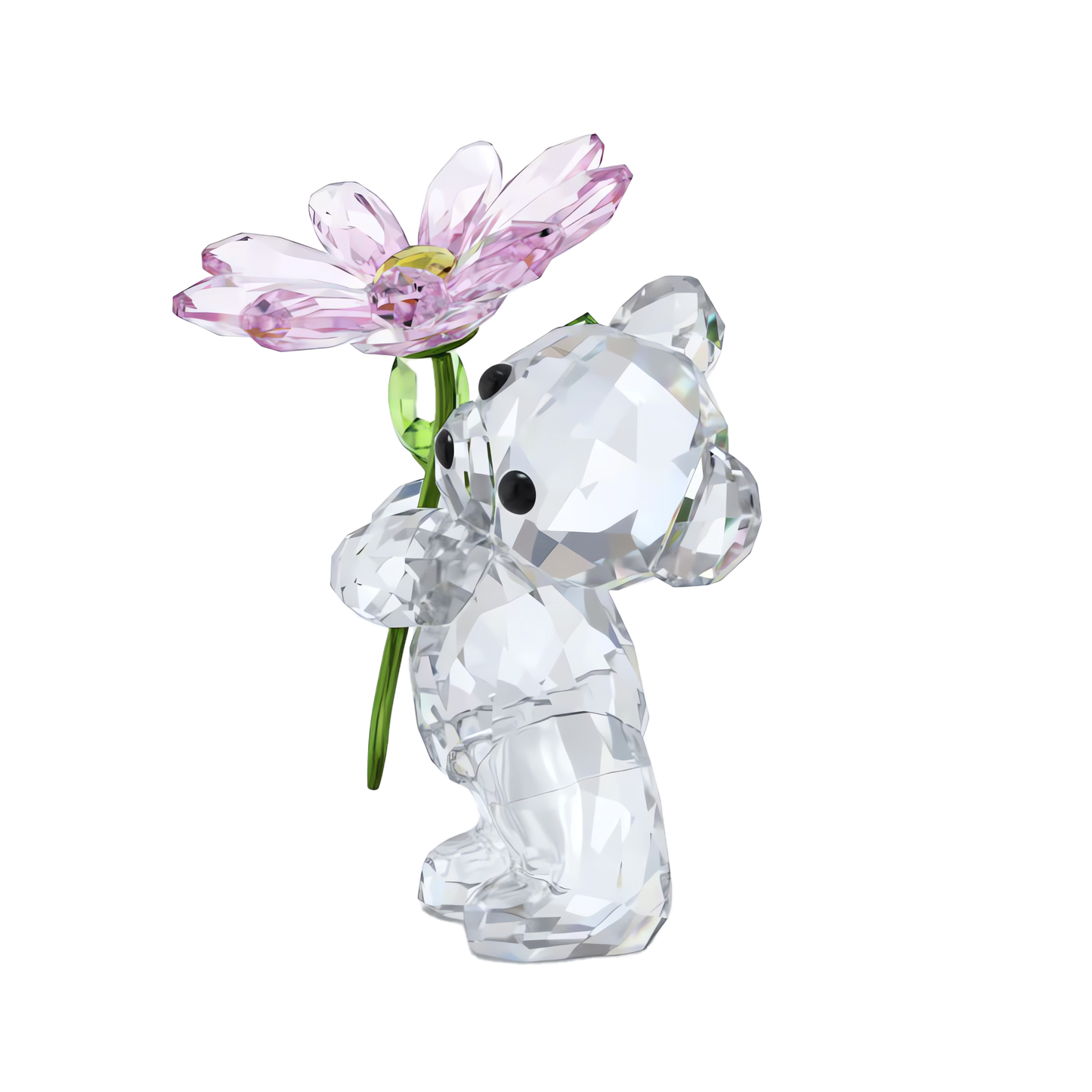 Kris Bear A Daisy for You 5675327