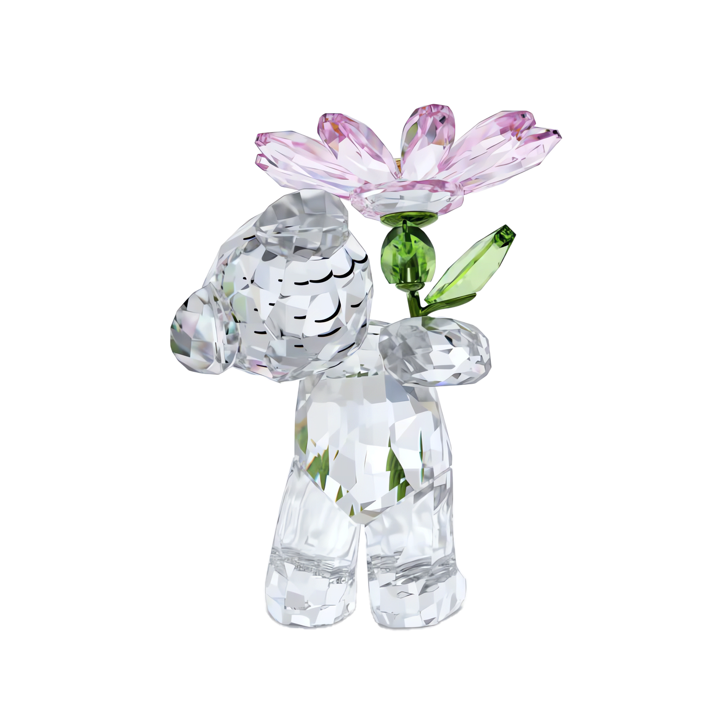 Kris Bear A Daisy for You 5675327