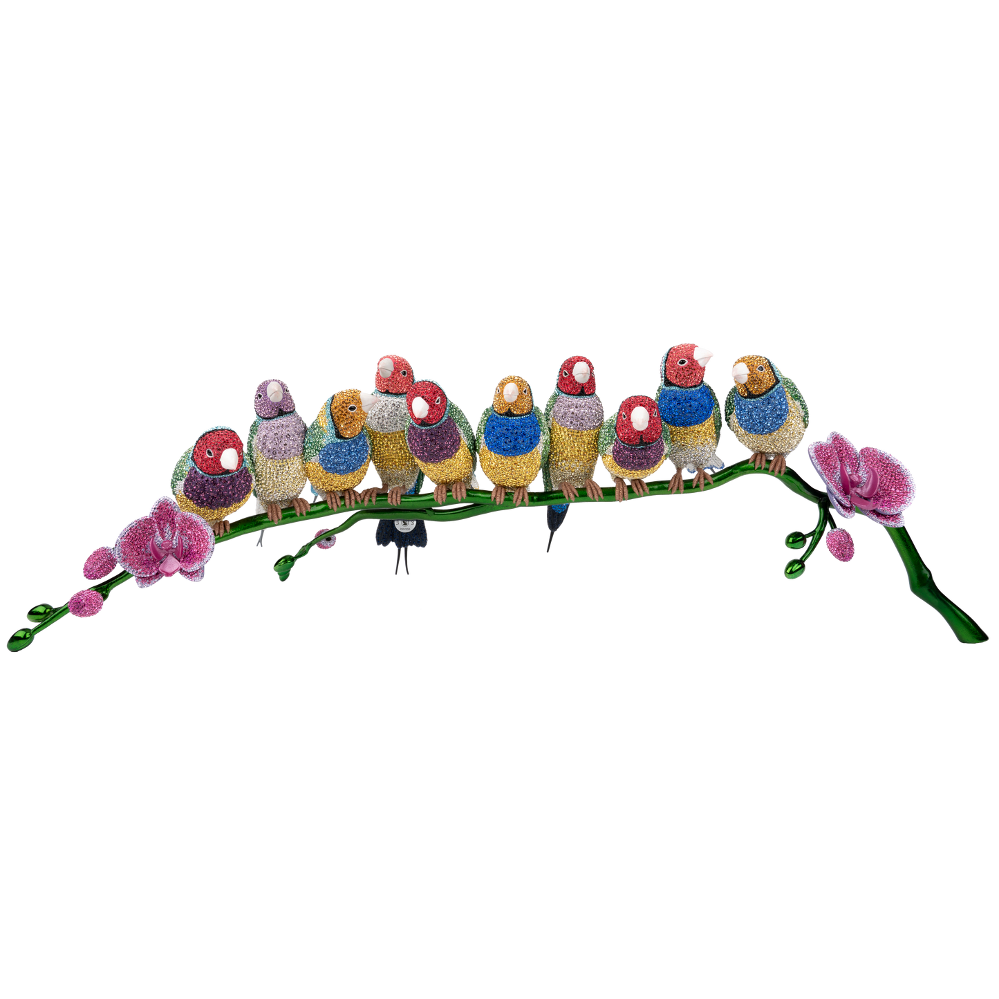 Crystal Myriad Gouldian Finches 5677659