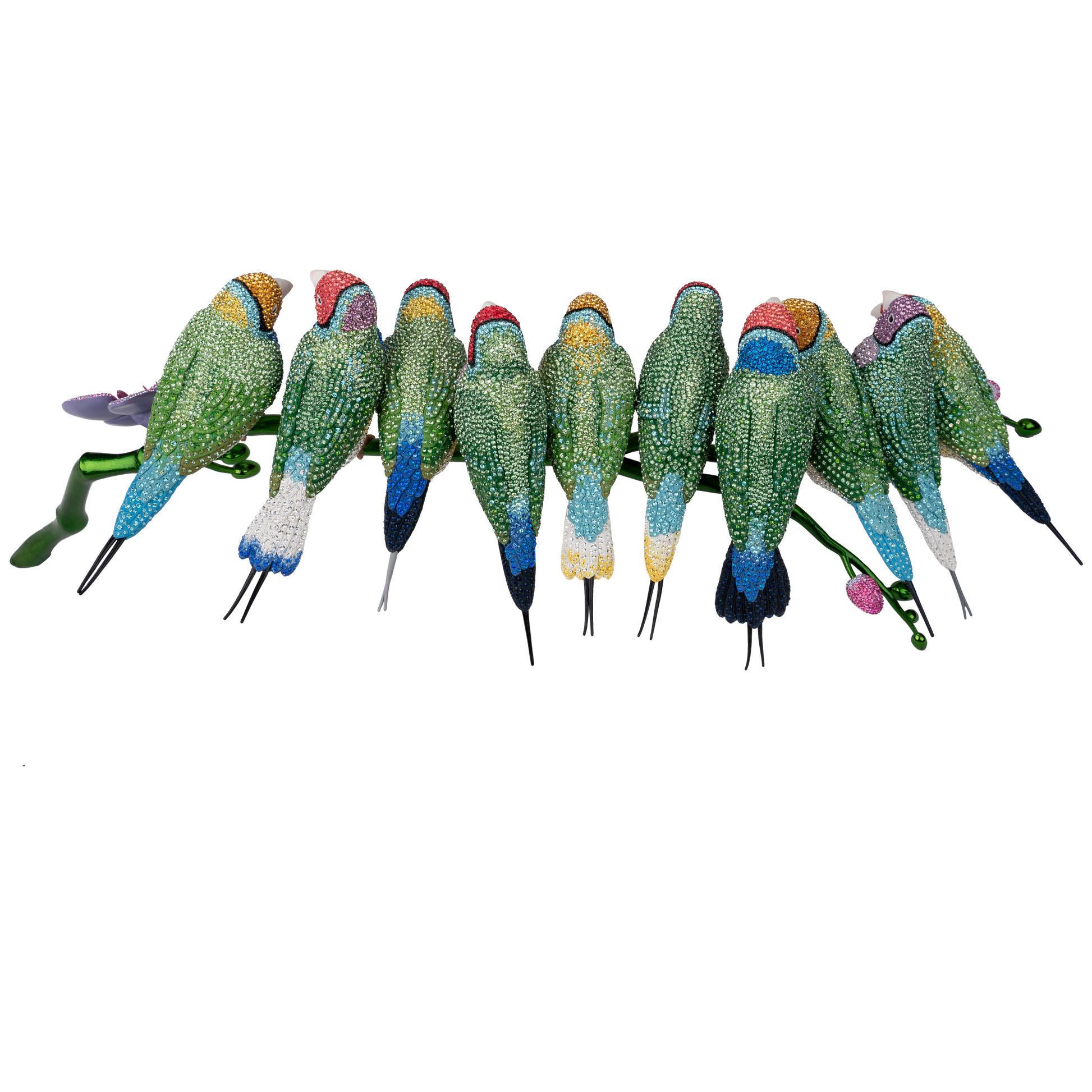 Crystal Myriad Gouldian Finches 5677659