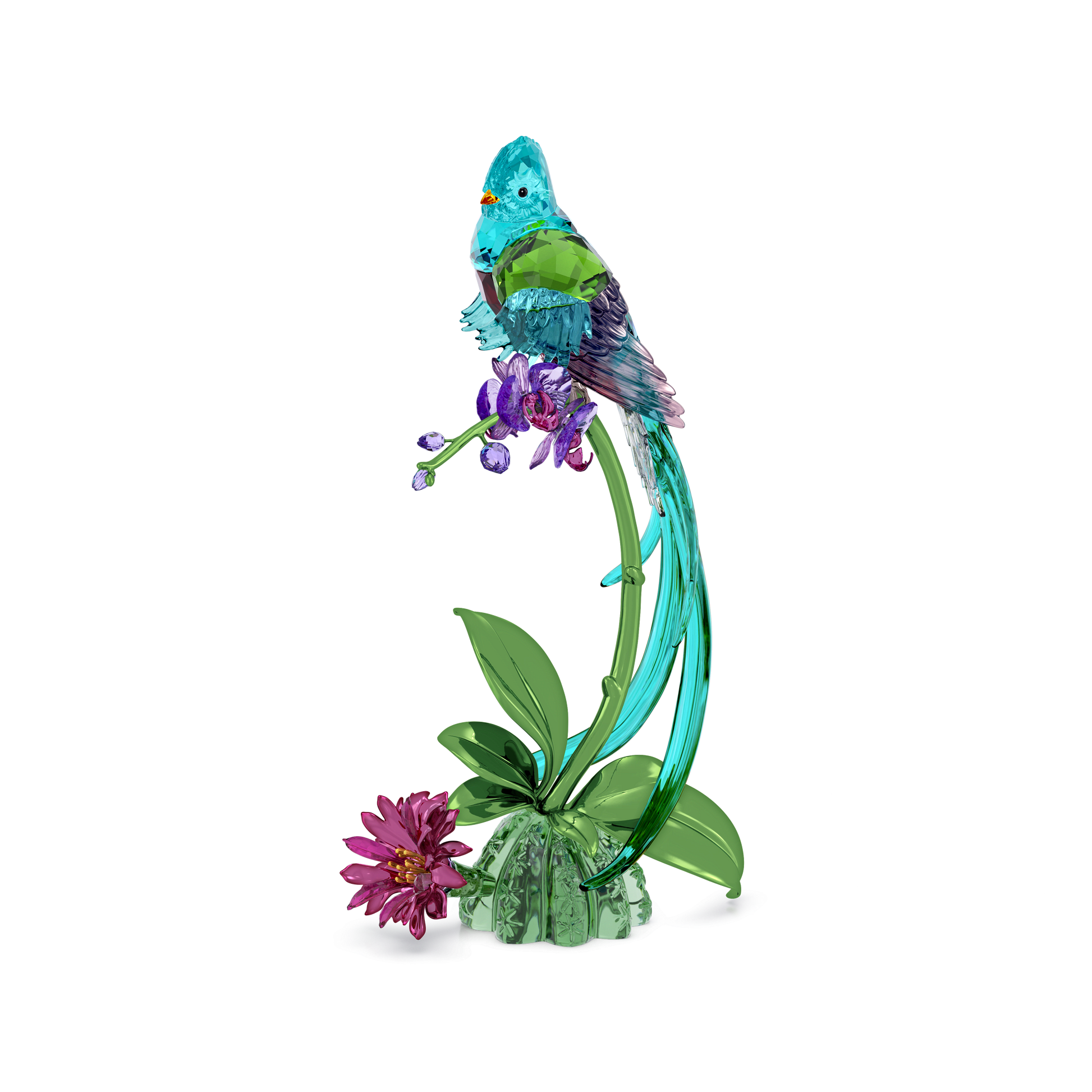 Idyllia Quetzal and Orchid 5682123